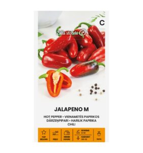 Jalapeño M Chili Seeds – Popular Medium-Hot Red Pepper for Pots, Cooking & Smart Gardens – 65–75 Days – 1g