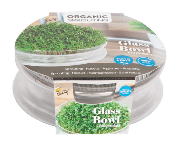 Buzzy® Organic Glass Sprouting Bowl with Arugula Seeds – Easy Indoor Microgreens Kit – BPA-Free – 14cm