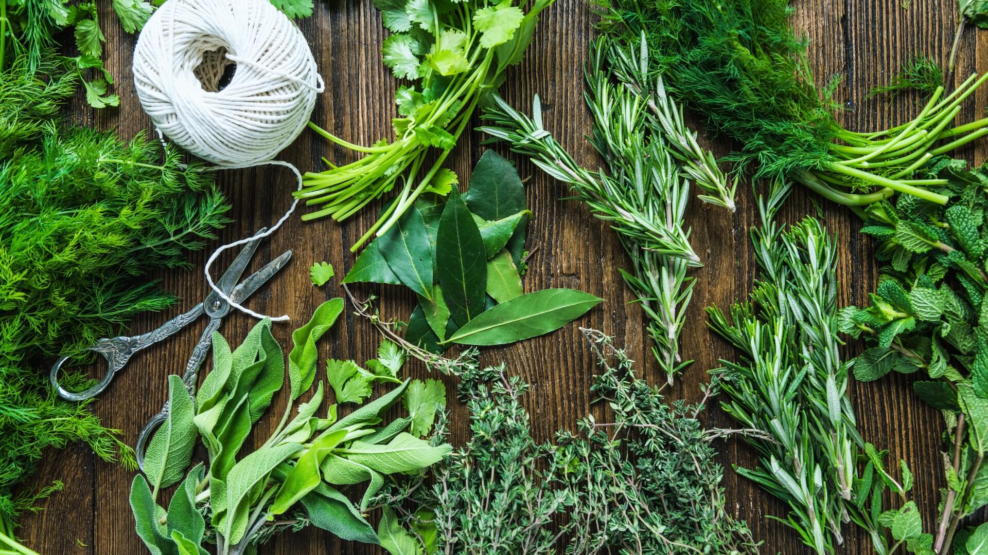 What herbs can I grow indoors?