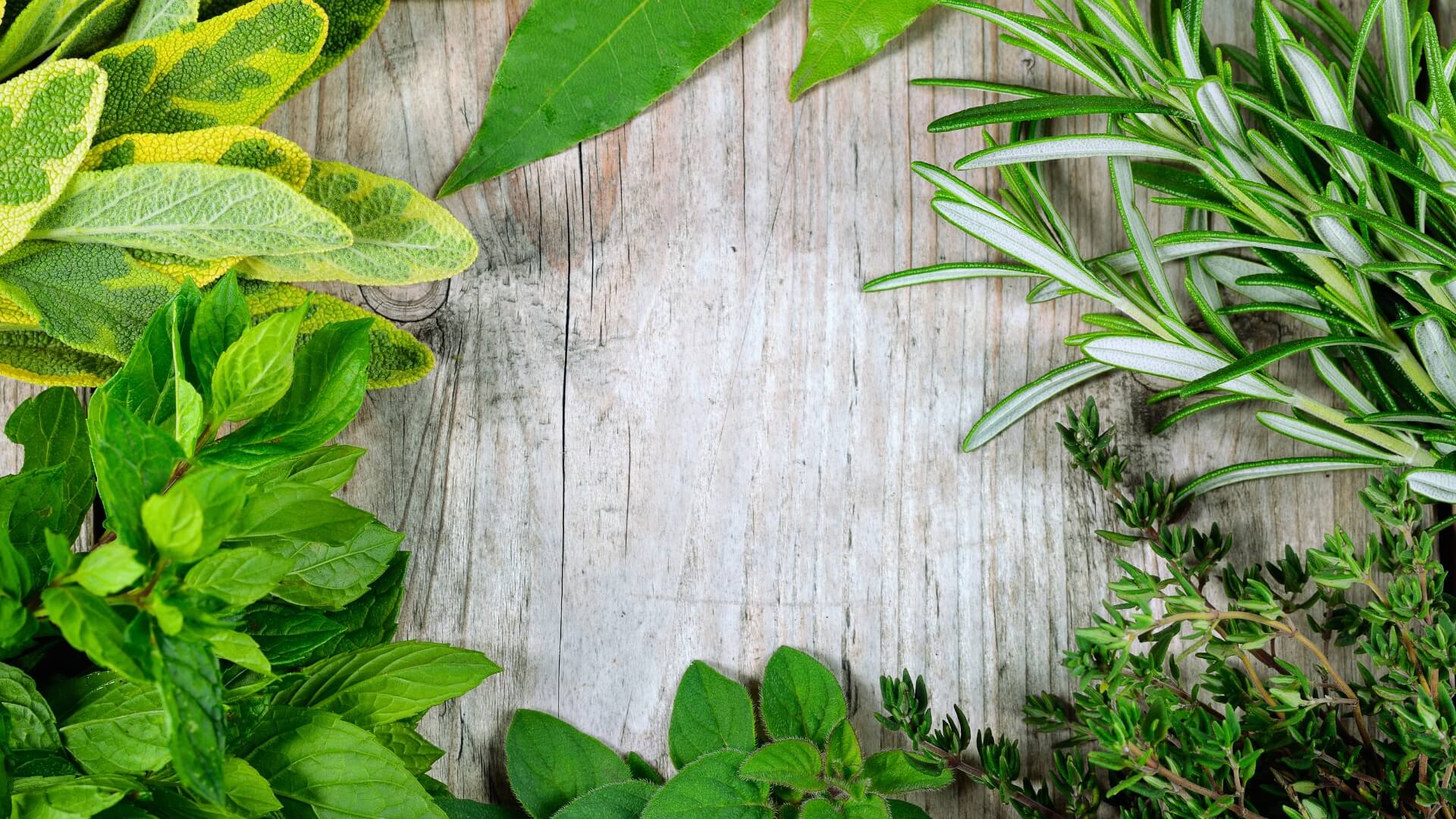 Indoor Gardening made simple