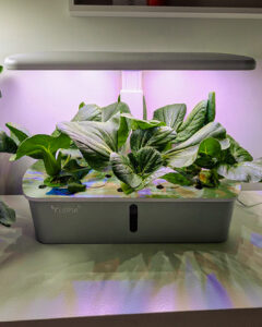 LetPot Air 10-pod hydroponic smart garden on a kitchen counter