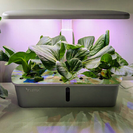 LetPot Air 10-Pods Smart Indoor Hydroponic Garden – Grow More Herbs, Greens & Veggies - Image 7