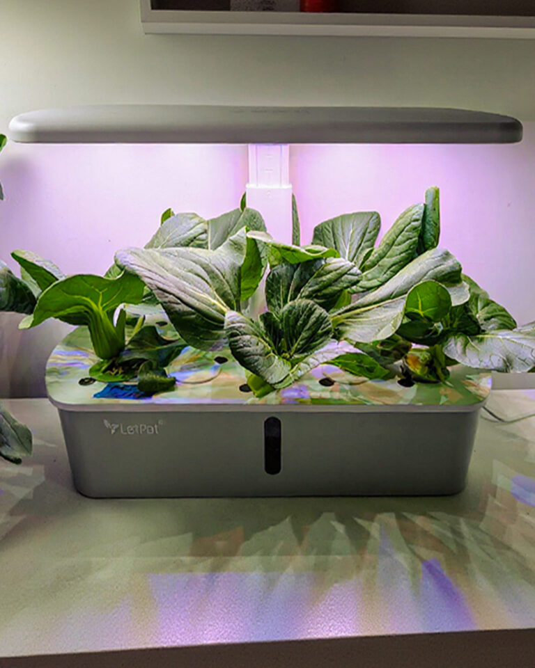 LetPot Air vs Senior: which 10-pod or 12-pod smart garden to buy (from €89)