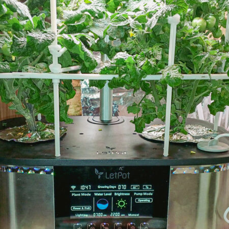 LetPot Max 21-Pod Smart Indoor Hydroponic Garden – Fully Automated Premium System for Herbs & Vegetables - Image 8
