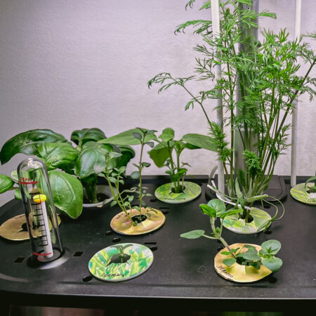 LetPot Senior 12-Pod Smart Indoor Hydroponic Garden – Premium Metal System for Herbs, Greens & Taller Plants - Image 9