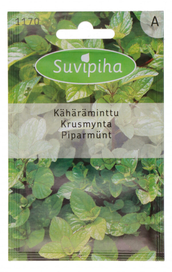 Piparmündi seemned - aromaatne ravimtaim teeks, toiduvalmistamiseks ja nutikaks siseaiaks - kompaktne kasvamine - 0.06g