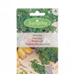 Curly Parsley 'Sammalpoimunen' Seeds – Decorative Herb for Garnishing & Indoor Smart Gardens – 1g