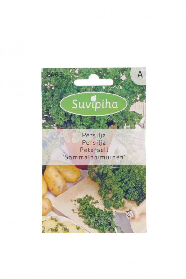 Curly Parsley 'Sammalpoimunen' Seeds – Decorative Herb for Garnishing & Indoor Smart Gardens – 1g