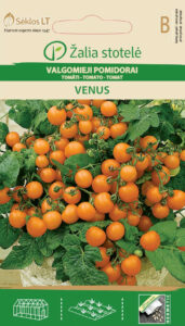 Kääbustomati ‘Venus’ seemned (Solanum lycopersicum) – kompaktne sort oranžide viljadega