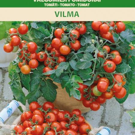 Dwarf Tomato 'Vilma' Seeds (Solanum lycopersicum) – Balcony & Indoor Cherry Cluster Variety – Compact 30–40cm Plant – 30g Fruits – 0.2g