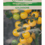 Cherry Tomato 'Goldkrone' Seeds (Solanum lycopersicum) – Early, High-Yielding Yellow Variety for Balcony & Indoor Growing – 15–20g Fruits – 1g