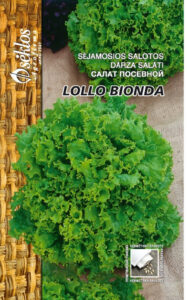 Lehtsalat ‘Lollo Bionda’ seemned (Lactuca sativa) – krõmpsuvad haiguskindlad rohelised kortsulised lehed õue ja sise 1 g