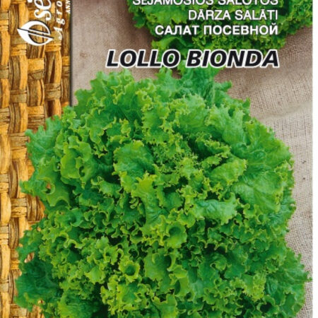 Lettuce 'Lollo Bionda' Seeds (Lactuca sativa) – Crisp, Disease-Resistant Frilly Green Leaves for Outdoor & Indoor Growing – 50–63 Days – 1g