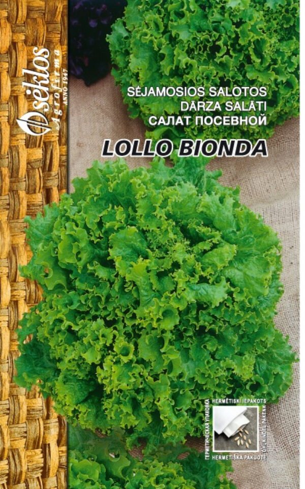 Lettuce 'Lollo Bionda' Seeds (Lactuca sativa) – Crisp, Disease-Resistant Frilly Green Leaves for Outdoor & Indoor Growing – 50–63 Days – 1g