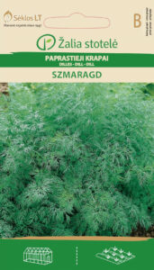 Aedtilli ‘Szmaragd’ seemned (Anethum graveolens) – aromaatne sort lehtedele, vartele ja õisikutele