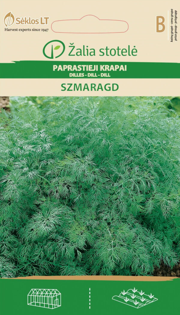 Dill 'Szmaragd' Seeds (Anethum graveolens) – Aromatic Garden Variety for Leaves, Stems & Umbels – Suitable for Indoor and Outdoor Growing – 1g