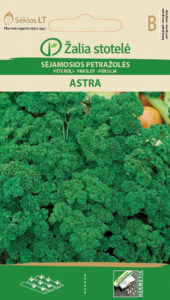 Kähara peterselli ‘Astra’ seemned (Petroselinum crispum) – vitamiinirikas tuhmne sort aeda, rõdule ja potti