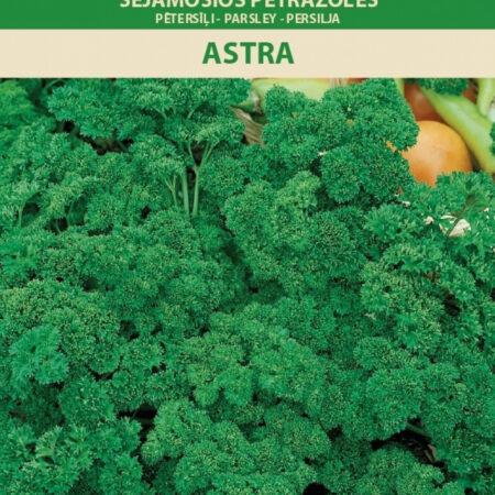 Curly Parsley 'Astra' Seeds (Petroselinum crispum) – Vitamin-Rich Bushy Variety for Garden, Balcony & Indoor Pots – 1g