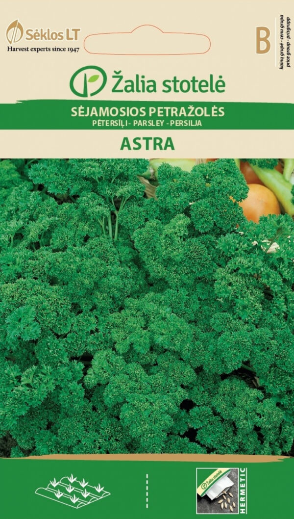 Curly Parsley 'Astra' Seeds (Petroselinum crispum) – Vitamin-Rich Bushy Variety for Garden, Balcony & Indoor Pots – 1g