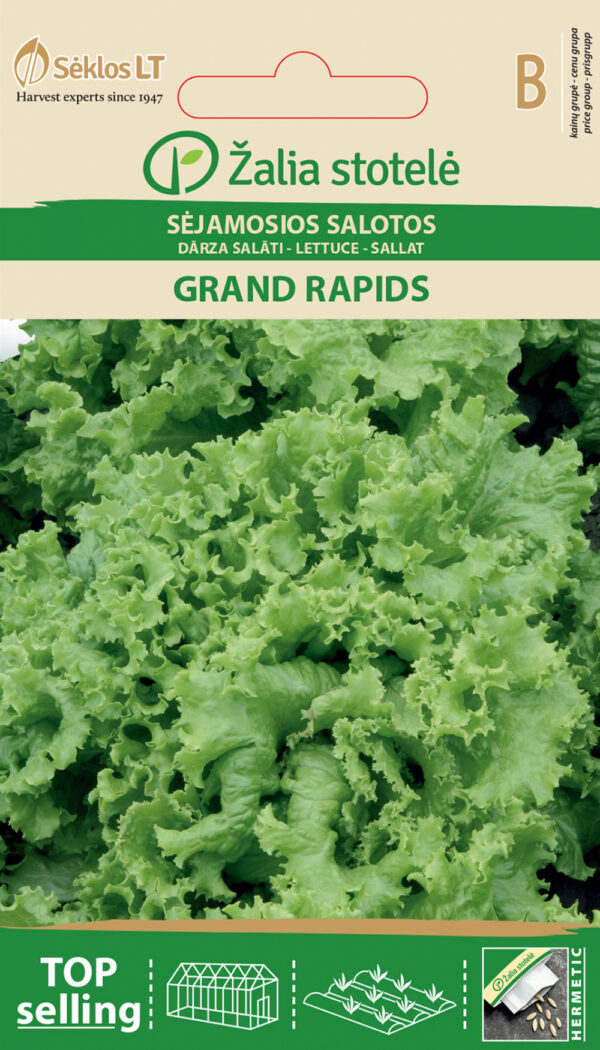 Leaf Lettuce 'Grand Rapids' Seeds (Lactuca sativa) – Early, Slow-Bolting Variety for Spring to Autumn Harvest – Indoor & Outdoor Friendly – 1g
