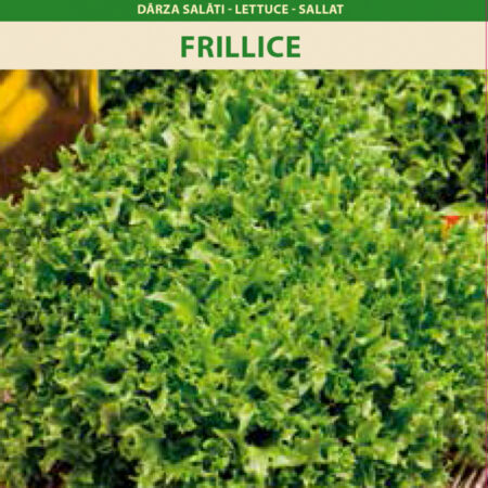 Crisp Lettuce 'Frillice' Seeds (Lactuca sativa) – Deep Green, Frilly Leaves for Garden, Balcony & Smart Indoor Growing – Long Harvest Period – 1g