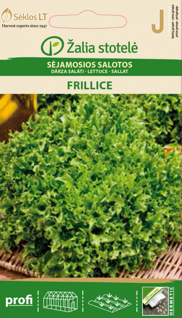 Crisp Lettuce 'Frillice' Seeds (Lactuca sativa) – Deep Green, Frilly Leaves for Garden, Balcony & Smart Indoor Growing – Long Harvest Period – 1g