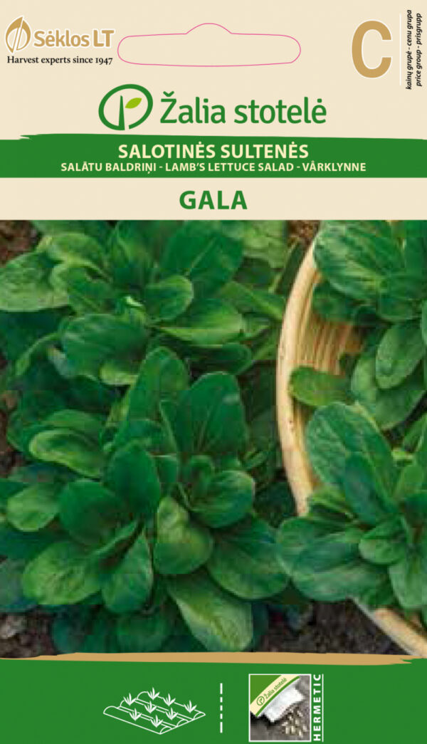 Lamb's Lettuce 'Gala' Seeds (Valerianella locusta) – Nutty-Flavored, Mildew-Resistant Salad Green for Indoor, Greenhouse & Outdoor Growing – 60 Days – 1g