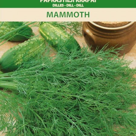 Dill 'Mammouth' Seeds (Anethum graveolens) – Compact, Aromatic Variety for Indoor, Balcony & Outdoor Growing – Late Blooming, 20cm – 1g