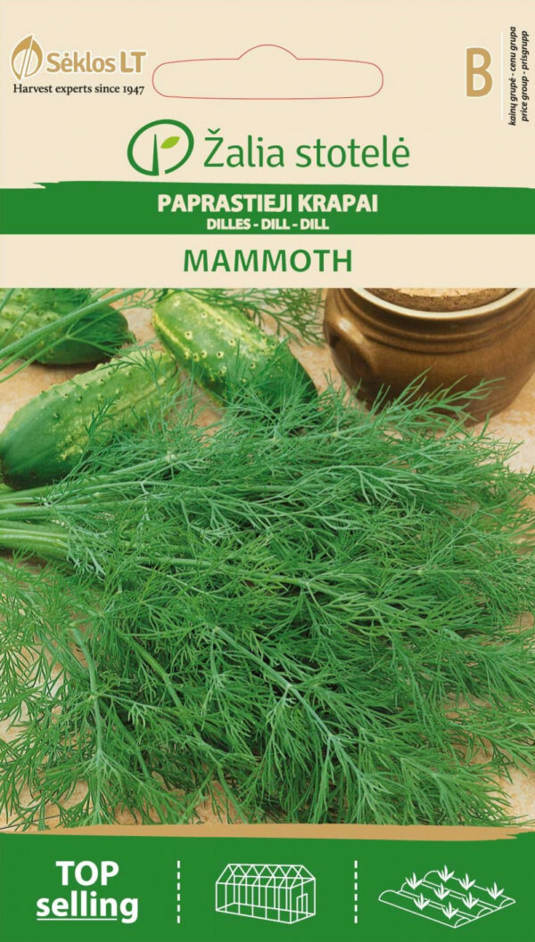 Dill 'Mammouth' Seeds (Anethum graveolens) – Compact, Aromatic Variety for Indoor, Balcony & Outdoor Growing – Late Blooming, 20cm – 1g