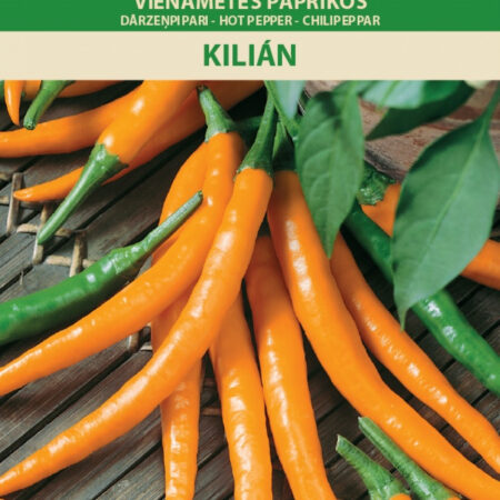 Chili Pepper 'Kilian' Seeds – Medium-Early Capsicum annuum for Pots, Greenhouses & Outdoor Growing – 8 cm Orange Fruits – 1g