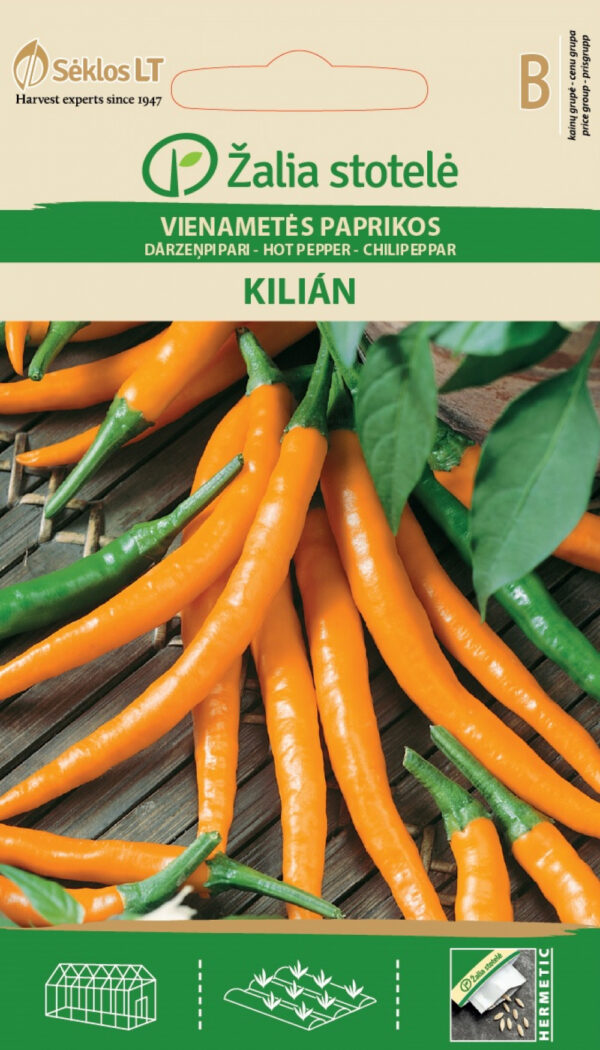Chili Pepper 'Kilian' Seeds – Medium-Early Capsicum annuum for Pots, Greenhouses & Outdoor Growing – 8 cm Orange Fruits – 1g