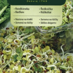 Mahedad redise seemned idandamiseks – terav mikrovõrse salatitele ja võileibadele