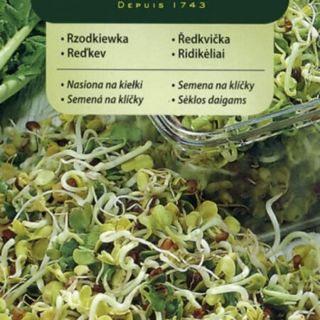Organic Radish Sprouting Seeds – Spicy Microgreens for Salads & Sandwiches – Easy Indoor Superfood – 20g – Vilmorin