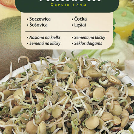 Organic Lentil Sprouting Seeds – Nutrient-Rich Superfood for Indoor Growing & Microgreens – Easy to Sprout at Home – 20g – Vilmorin