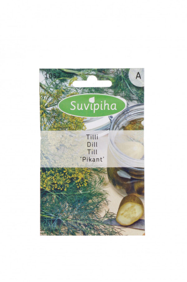 Tilli 'Pikant' seemned - Kompaktne põõsastill kulinaarseks kasutamiseks - sobib ideaalselt nutikasse sise- ja vesiviljelusaiasse - 2,5g