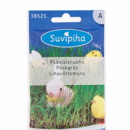 Easter Grass (Annual Ryegrass) Seeds – Fast-Growing Decorative & Pet-Safe Greenery – Perfect for Windowsills – 8g
