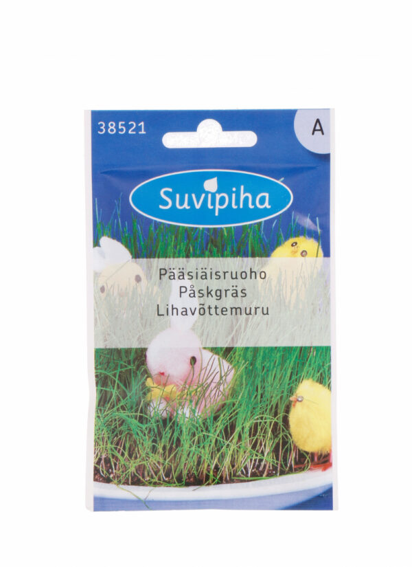 Easter Grass (Annual Ryegrass) Seeds – Fast-Growing Decorative & Pet-Safe Greenery – Perfect for Windowsills – 8g