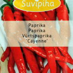 Cayenne Chili Pepper Seeds – Medium-Early, Spicy Variety for Fresh or Dried Use – Ideal for Smart Indoor & Hydroponic Gardens – 0.5g