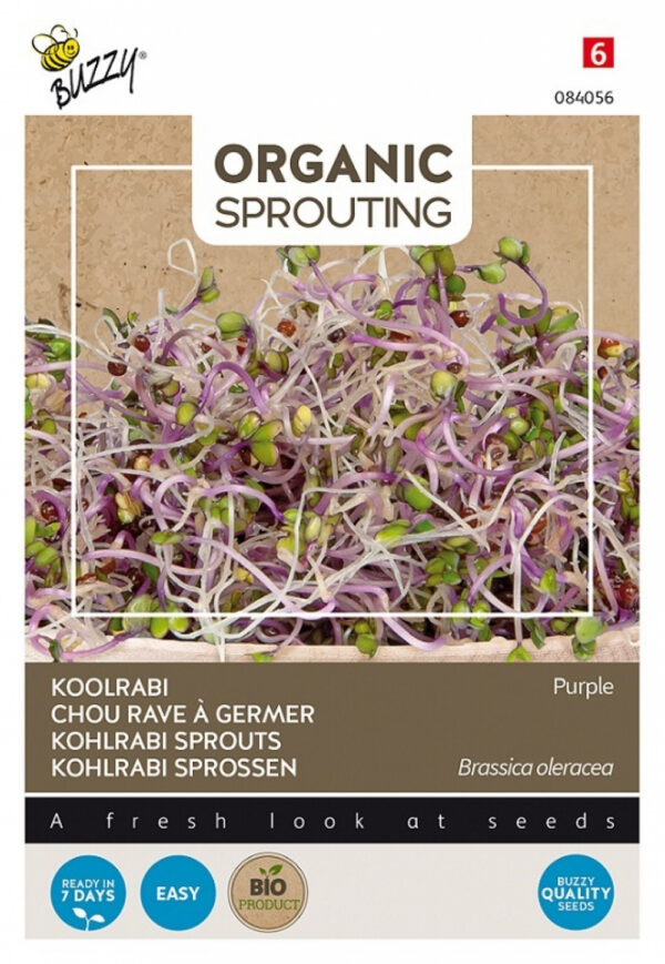 Organic Kohlrabi Sprouting Seeds – Crisp, Mild Microgreens Ready in 5–7 Days – Indoor Superfood – 20g – Buzzy Organic