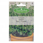 Thyme Seeds Suvipiha – 0.15g | Fast-Growing Culinary Herb for Smart Indoor Gardens