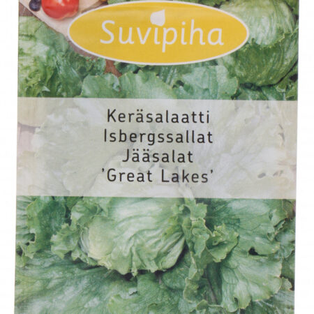 Iceberg Lettuce 'Great Lakes' Seeds – Crisp, Compact Heads – Suitable for Hydroponic & Smart Indoor Gardens – 0.5g