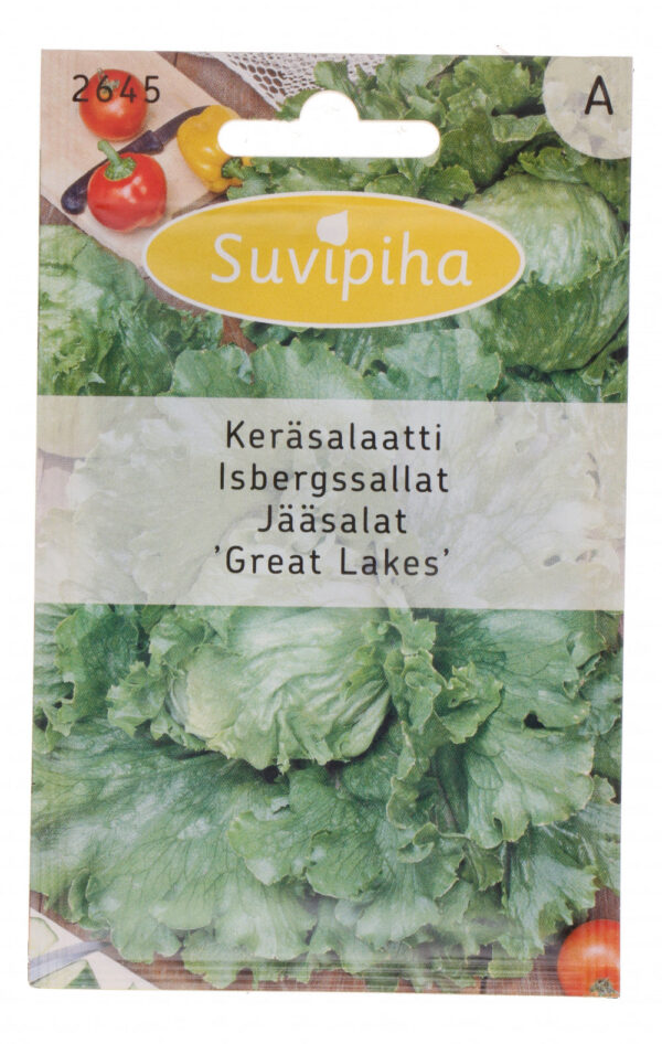 Jääsalati 'Great Lakes' seemned - krõbedad, kompaktsed pead - sobivad vesiviljelusse ja nutikasse siseaeda - 0.5g