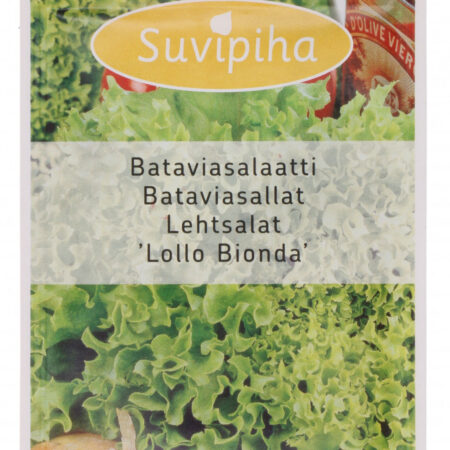 Lollo Bionda Leaf Lettuce Seeds – 1g | Fast-Growing, Ideal for Hydroponics & Smart Indoor Gardens