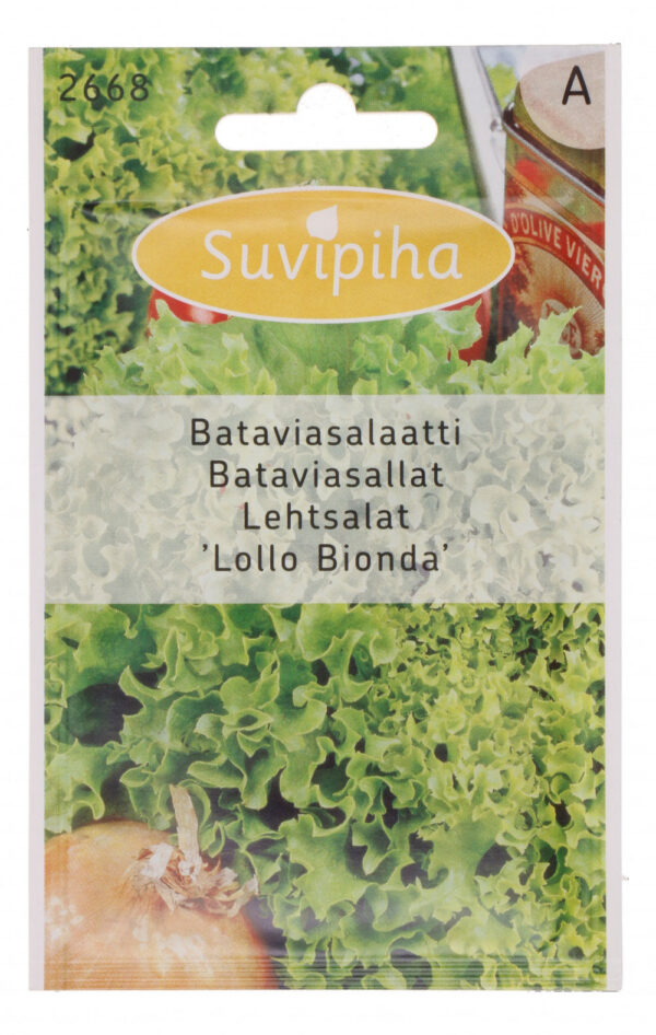 Lollo Bionda Leaf Lalatsi seemned - 1g | Kiiresti kasvav, ideaalne hüdropoonikas ja nutikas siseaedade jaoks