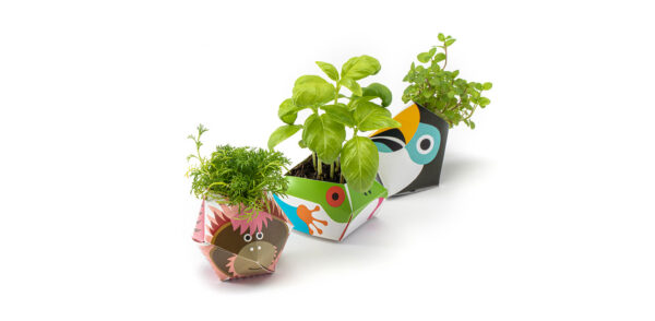 OriBon Rainforest Animals Collection