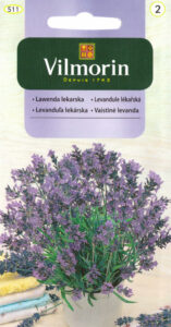 Lavendel (Lavandula officinalis) – aromaatne mitmeaastane ravimtaim sisetingimustele