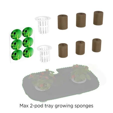 Max‘s 2-Pod Tray Big Grow Sponges Kit