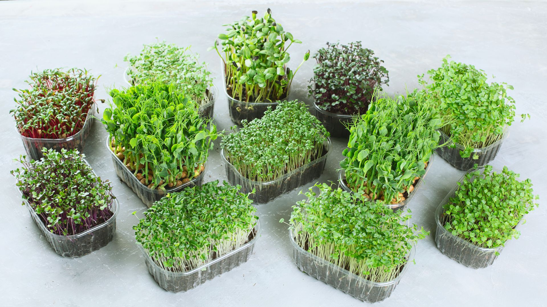 The Green-Mediterranean Diet: What It Is & How to Grow Affordable “Green Boosts” at Home