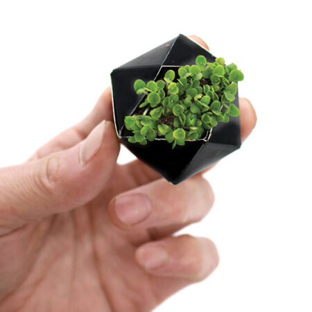 OriBon Black Collection – Origami Plant Pot with Herb Seeds Included