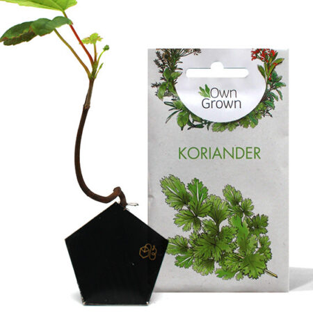 OriBon Black Collection – Origami Plant Pot with Herb Seeds Included - Image 2